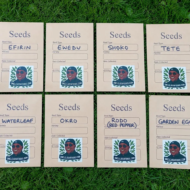 8 Seeds - Efirin, Ewedu, Shoko, TeTe. WaterLeaf, Okro, Garden Egg, Rodo, Seeds