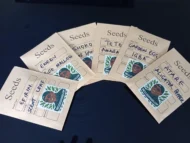8 African Vegetable Seeds: Efirin, Ewedu, Shoko, Tete, Waterleaf, Okro, Rodo, Garden Egg - Image 2
